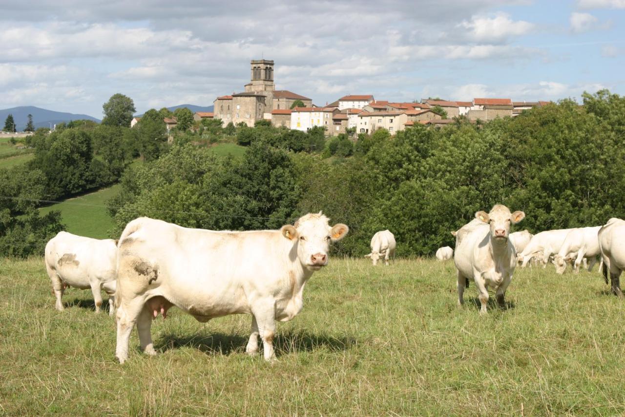 Bed and Breakfast La Paresse En Douce Tours-Sur-Meymont Екстер'єр фото